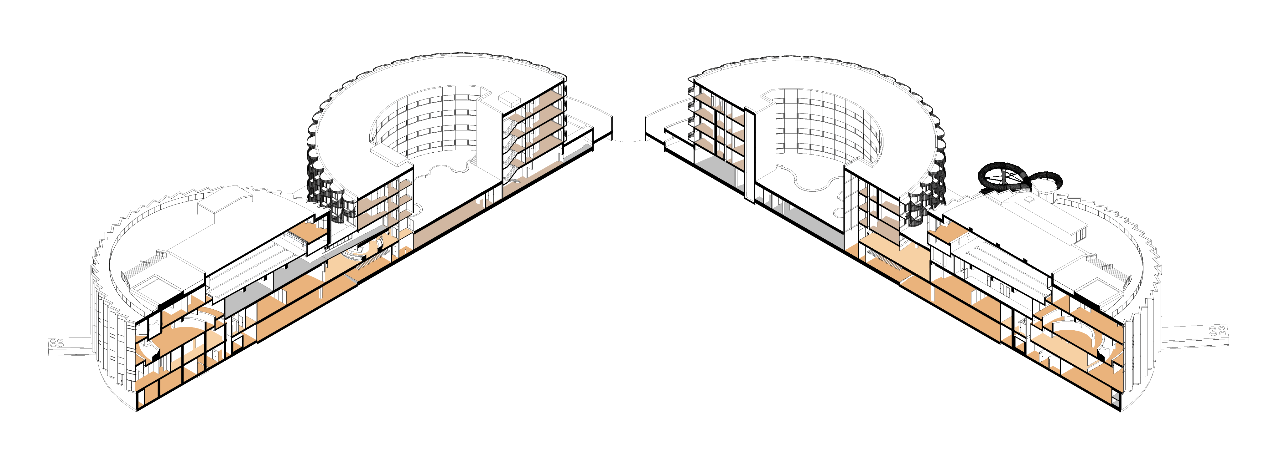 3D section