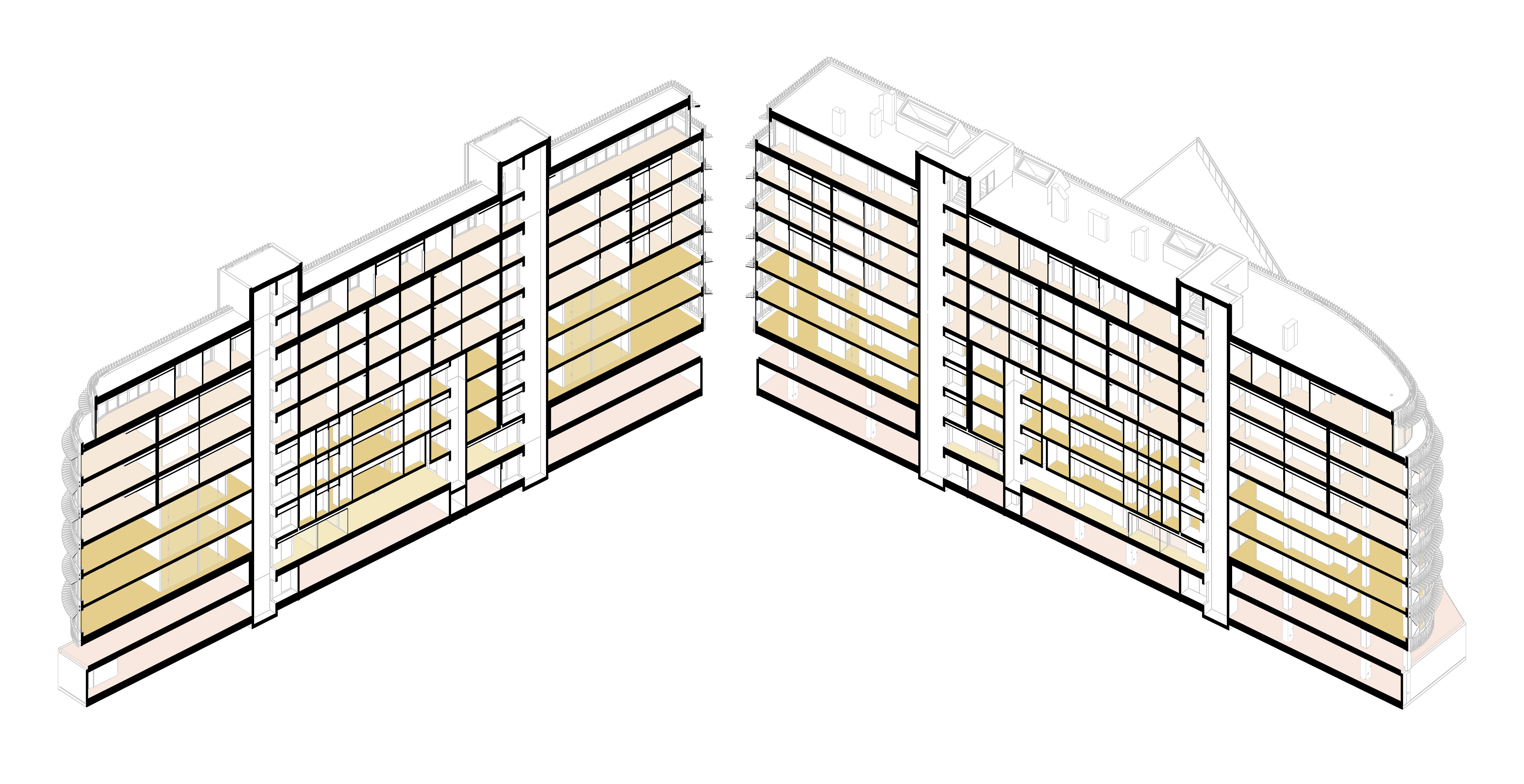 3D section