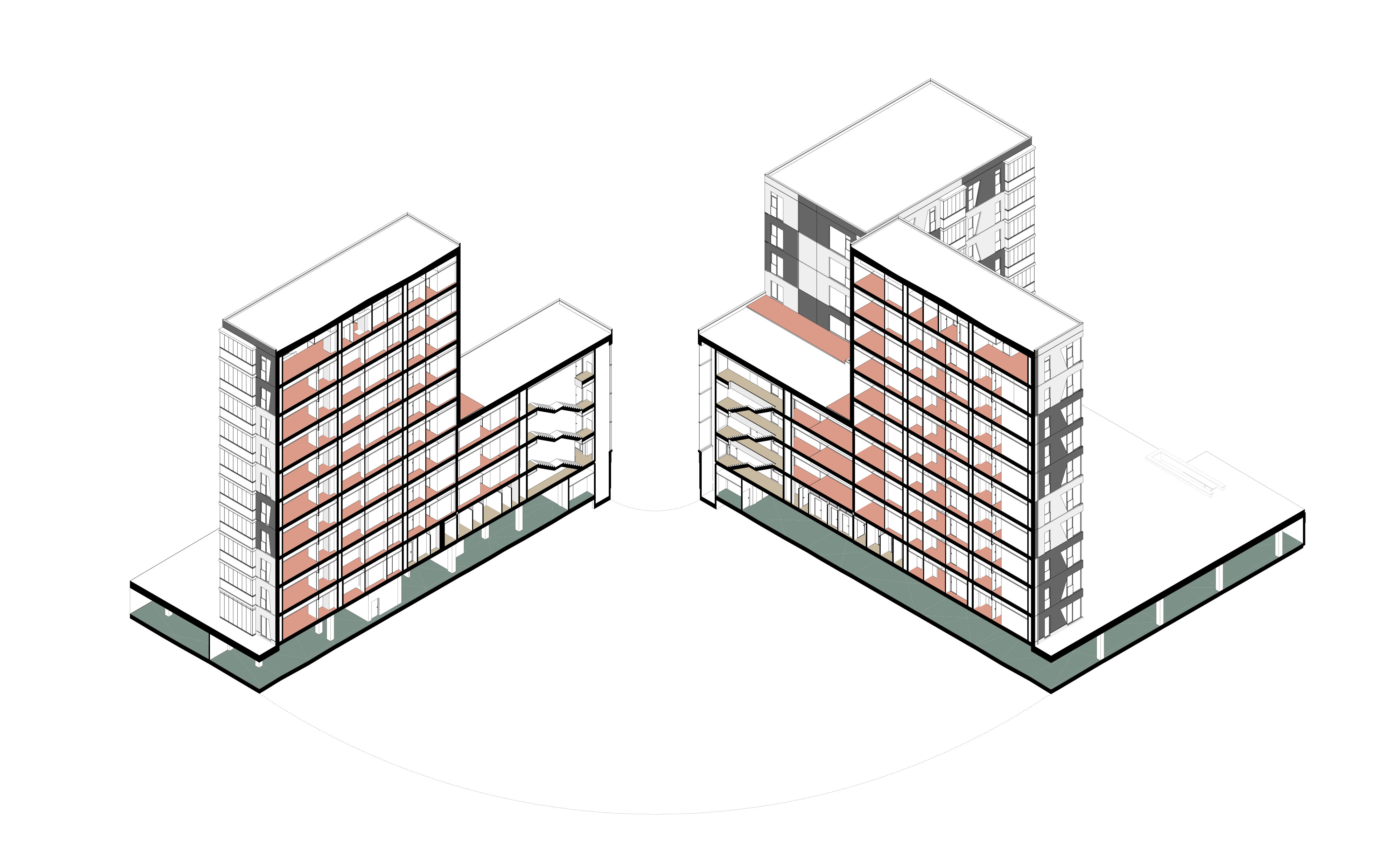 3D section