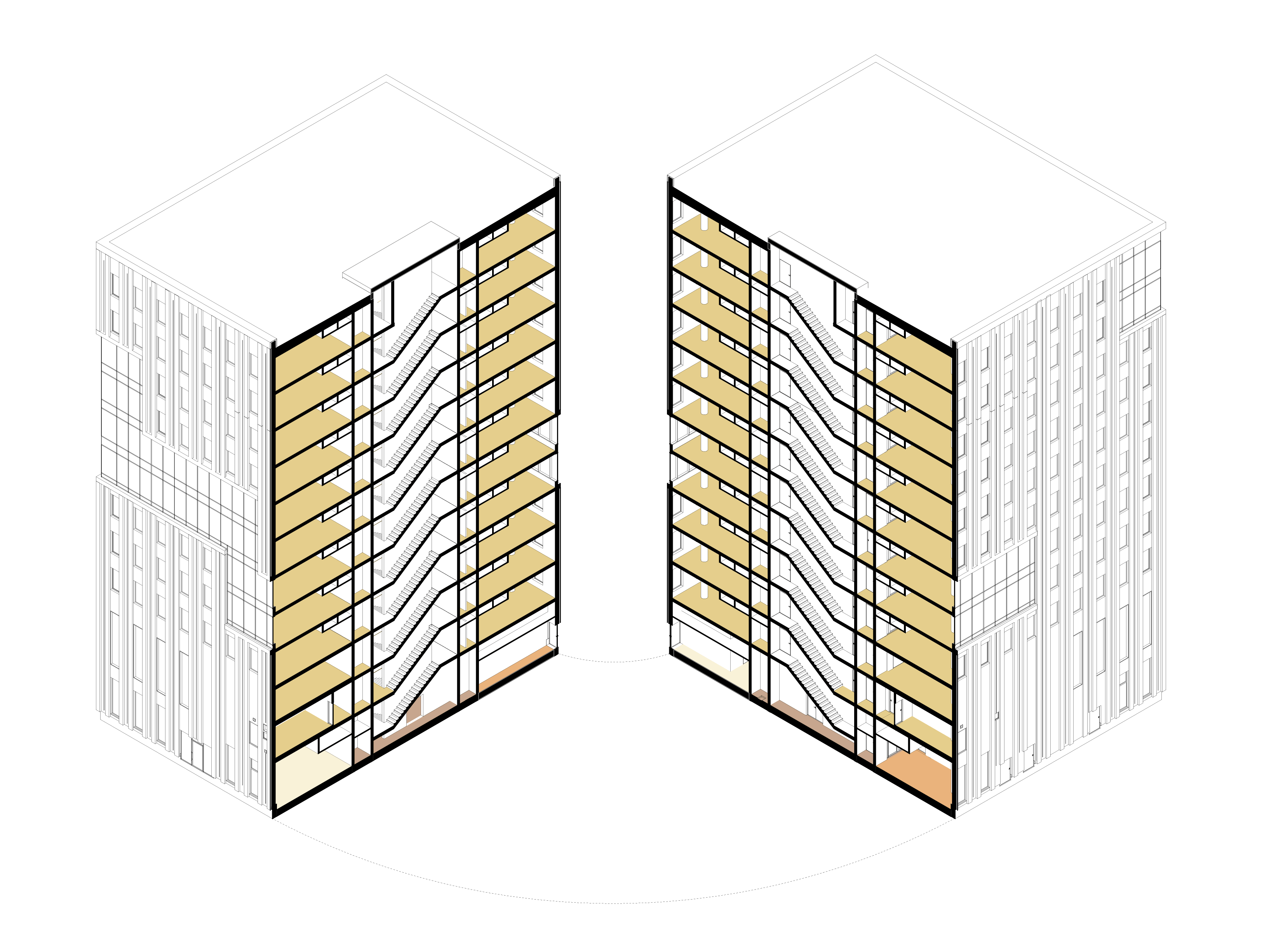 3D section