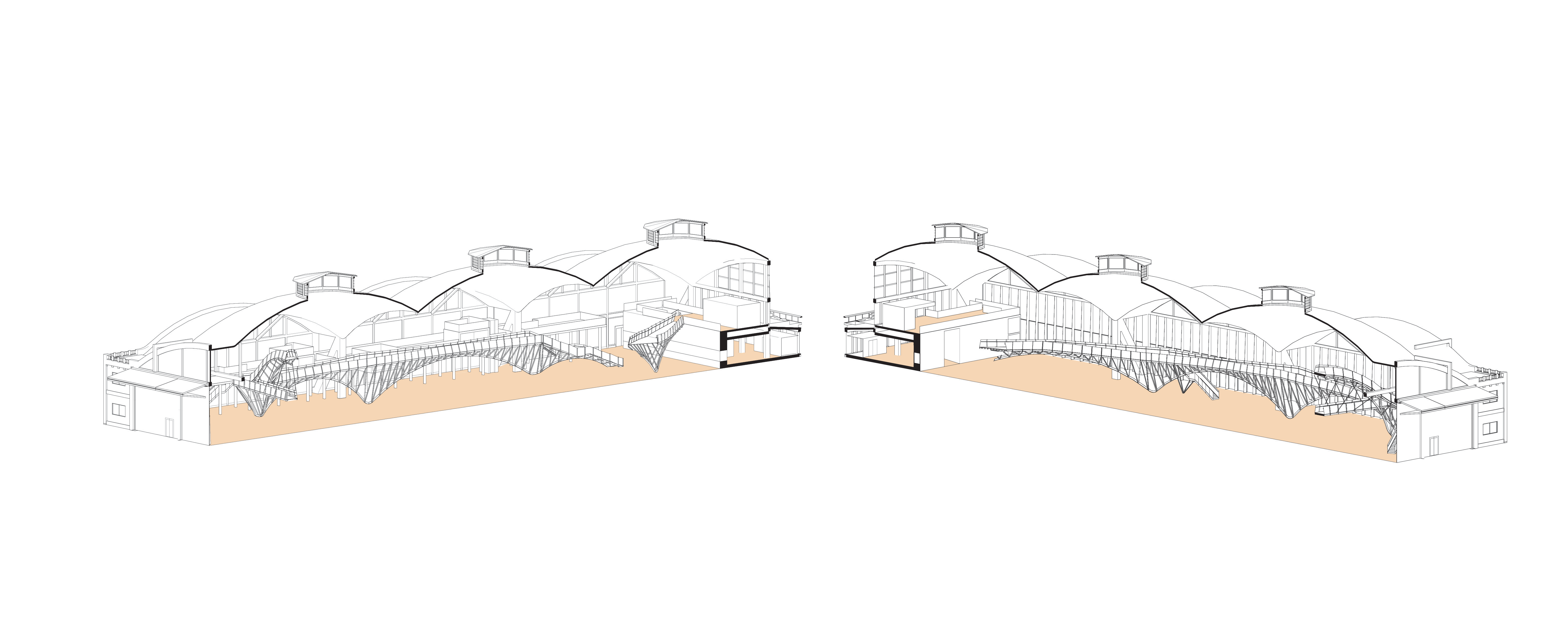 3D section