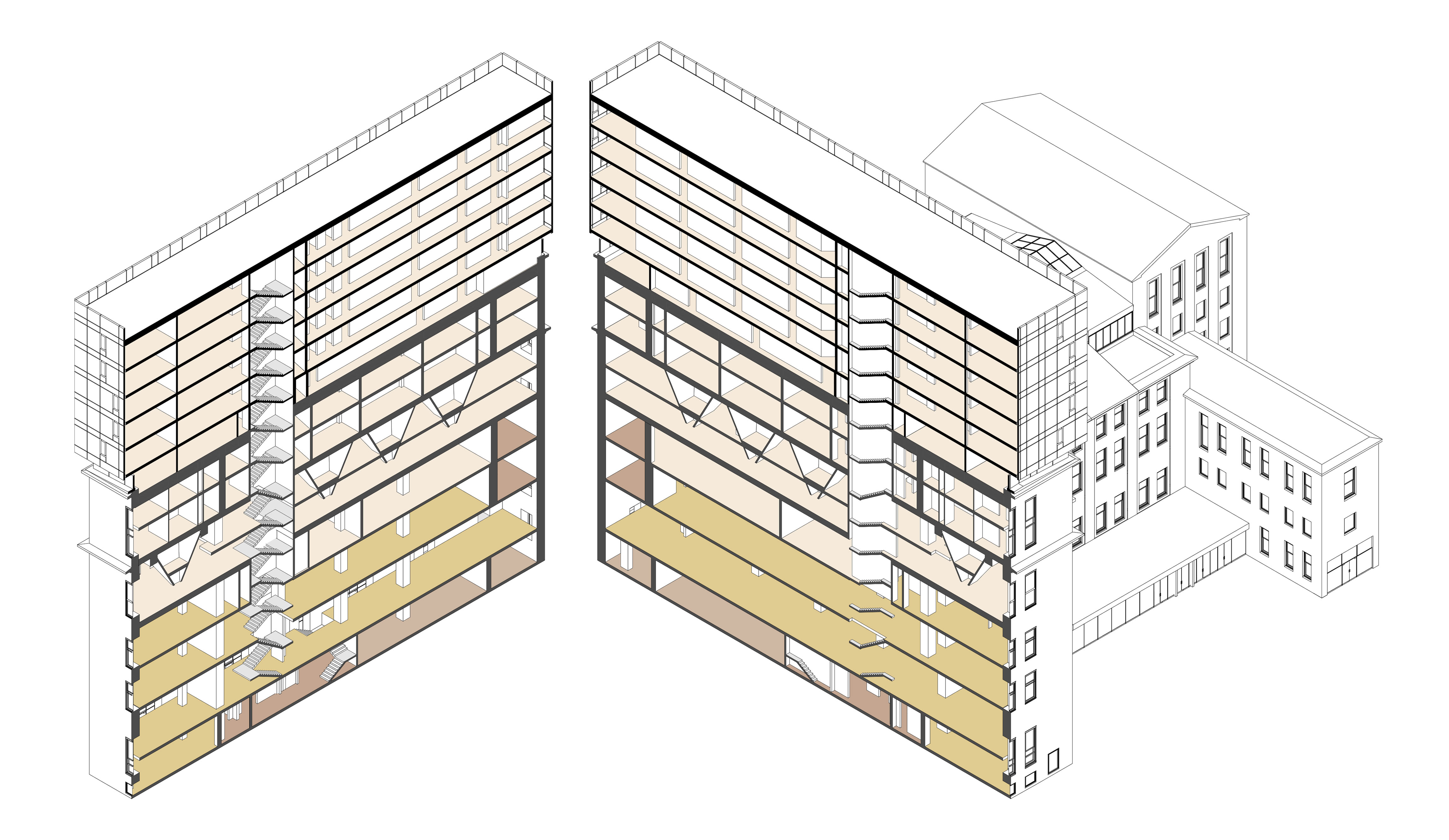 3D section / B