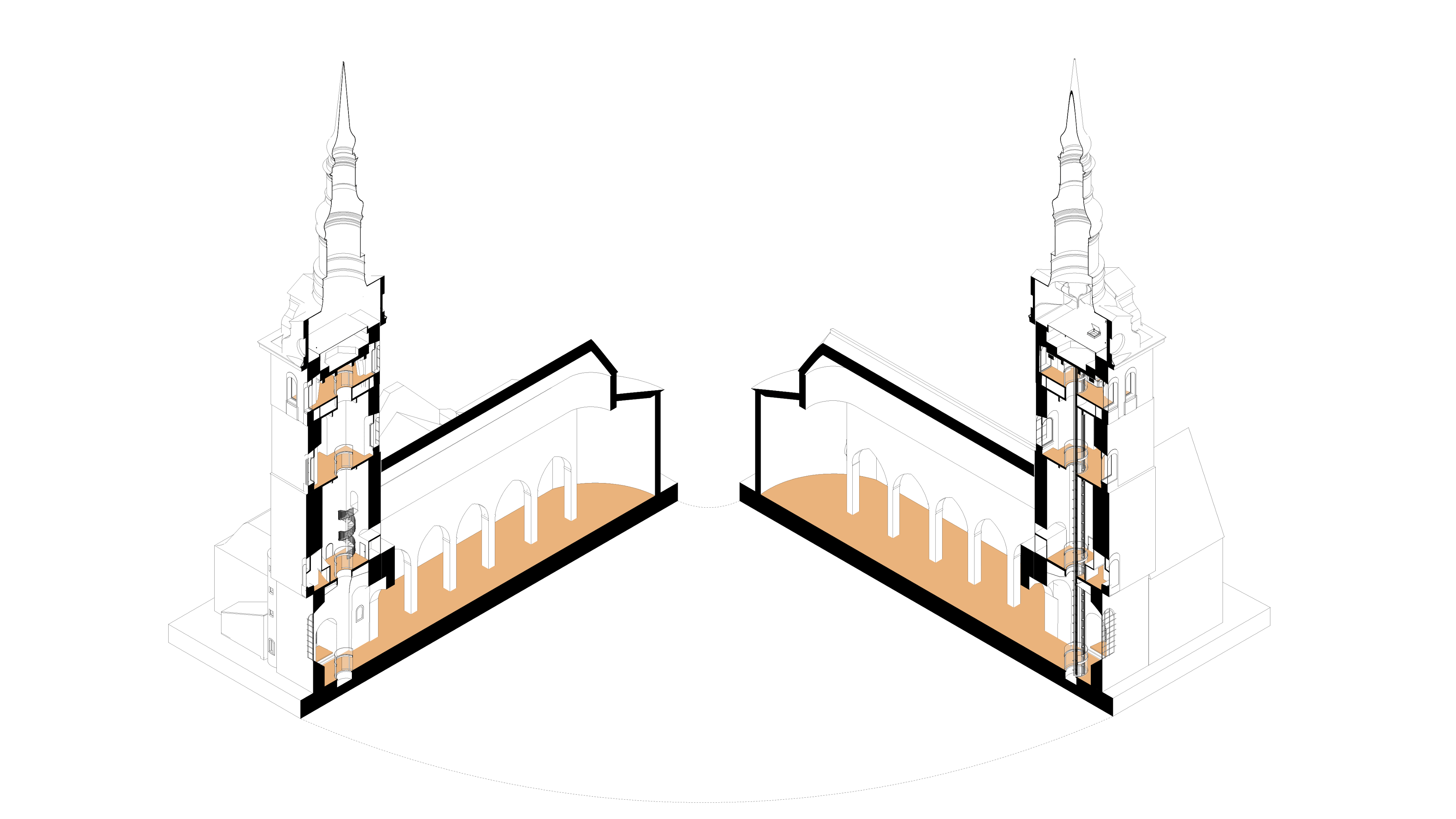 3D section