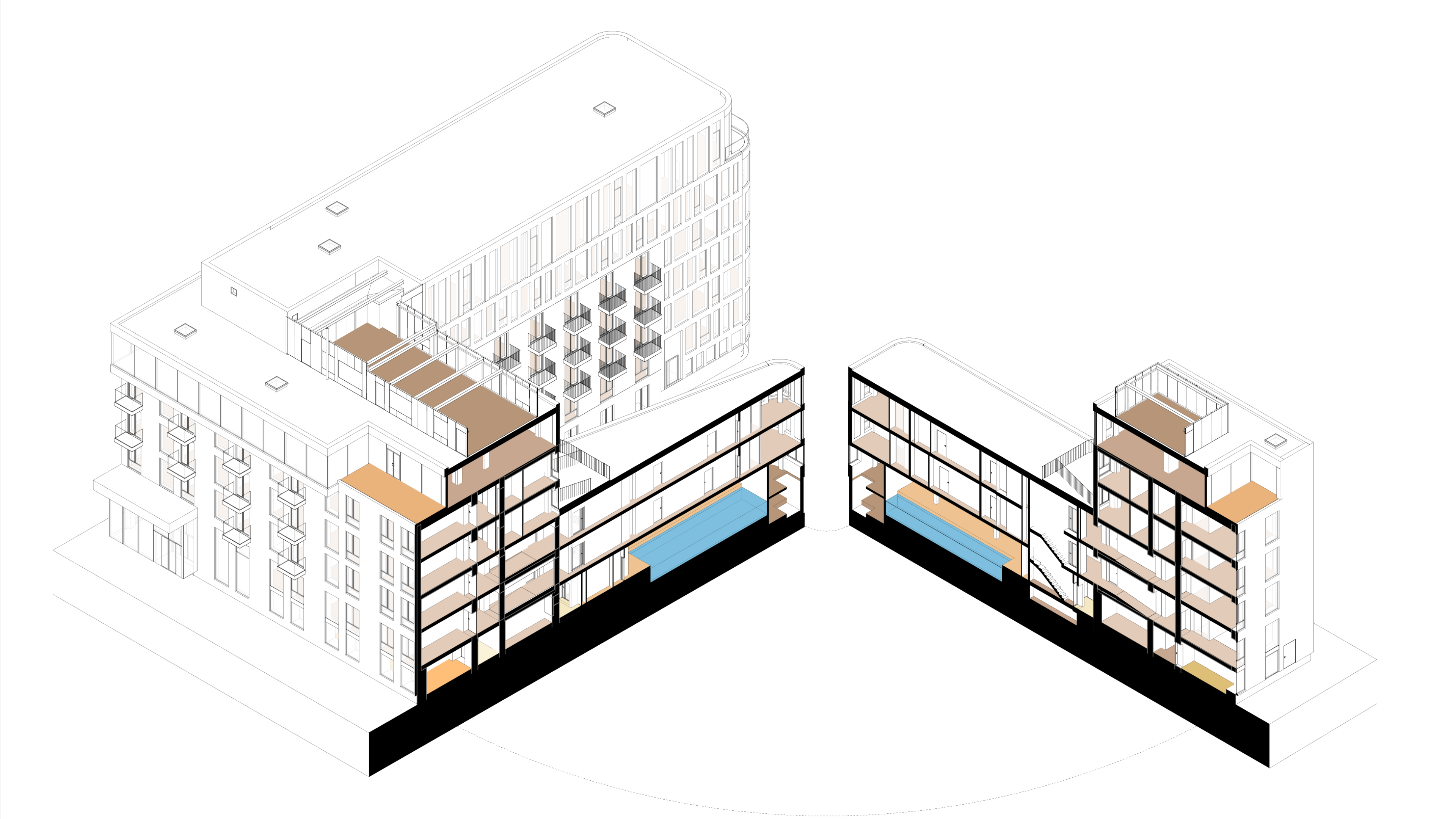 3D section