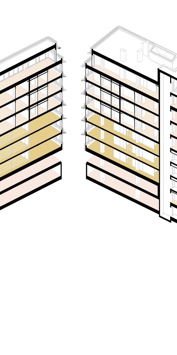 3D section