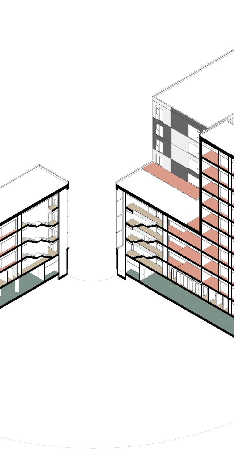 3D section