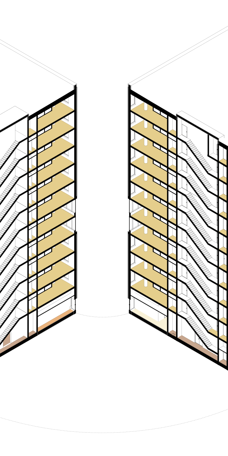 3D section