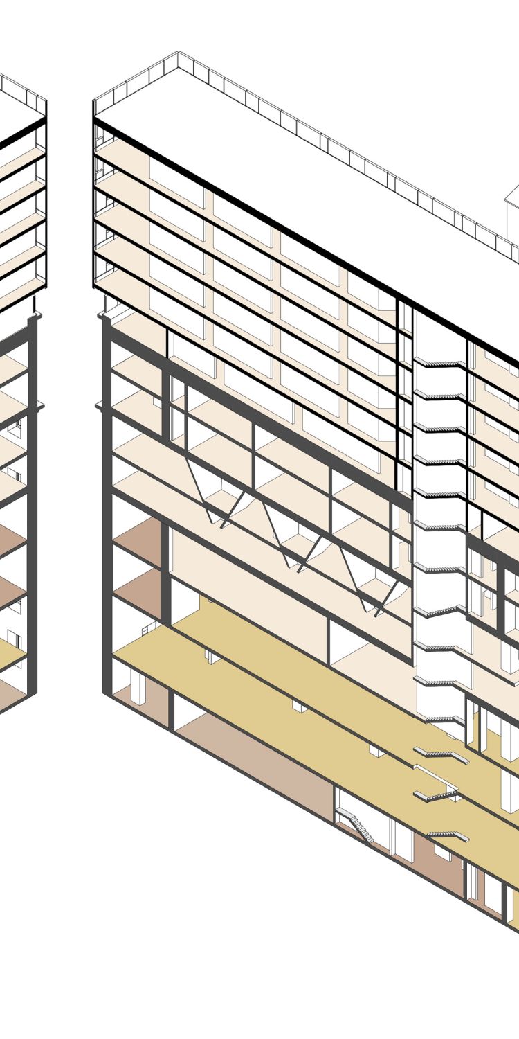 3D section / B